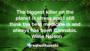 The biggest killer on the planet is stress and I still think the best medicine is and always has been Cannabis. - Willie Nelson