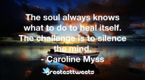The soul always knows what to do to heal itself. The challenge is to silence the mind. - Caroline Myss