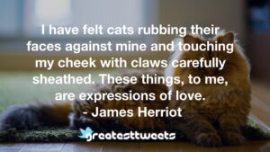 I have felt cats rubbing their faces against mine and touching my cheek with claws carefully sheathed. These things, to me, are expressions of love. - James Herriot