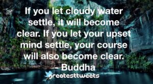 If you let cloudy water settle, it will become clear. If you let your upset mind settle, your course will also become clear. - Buddha