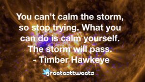 You can't calm the storm, so stop trying. What you can do is calm yourself. The storm will pass. - Timber Hawkeye